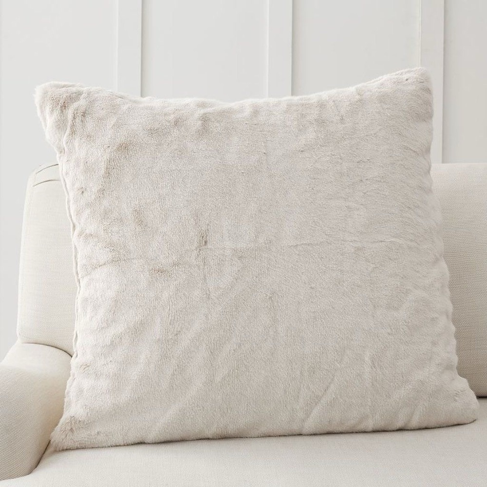 Crate & Barrel pillow